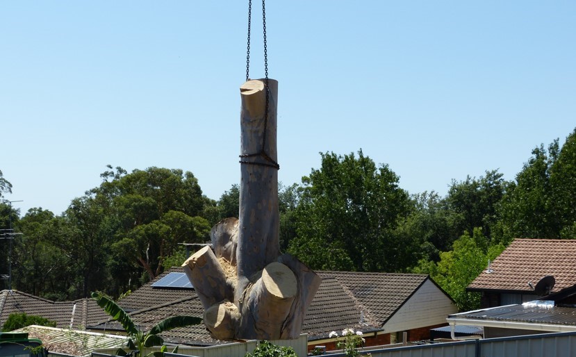 Crane tree removal, trunk